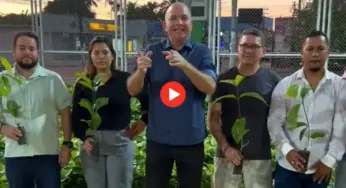 Sena Madureira distribui 40 mil mudas de café a produtores rurais