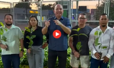 Sena Madureira distribui 40 mil mudas de café a produtores rurais