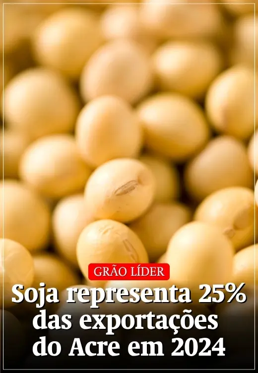Soja representa 25% das exportações do Acre em 2024