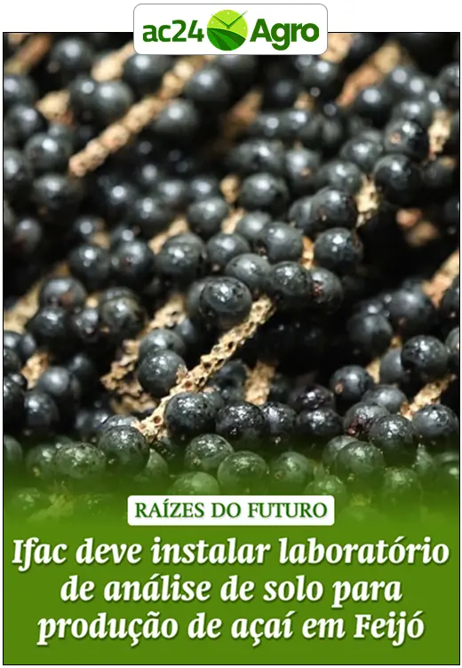 Ifac deve instalar laboratório de análise de solo para produção de açaí em Feijó