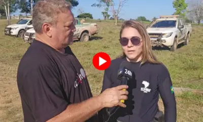ICMBio fecha o cerco contra criadores de gado na Resex Chico Mendes