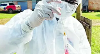 Pará decreta emergência sanitária para conter avanço da gripe aviária