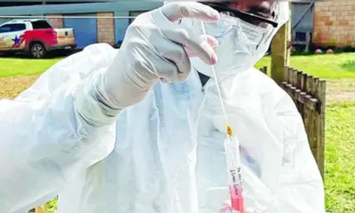 Pará decreta emergência sanitária para conter avanço da gripe aviária