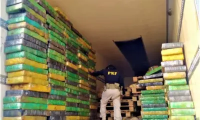 PRF apreende mais de duas toneladas de skunk em Rondônia na maior operação antidrogas