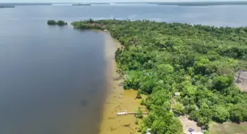 MPF pede anulação de contrato bilionário de créditos de carbono no Pará e multa de R$ 200 milhões