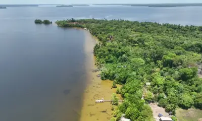 MPF pede anulação de contrato bilionário de créditos de carbono no Pará e multa de R$ 200 milhões