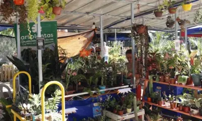 Unisol Acre anuncia lançamento da 10ª edição da Ecoflores 2025