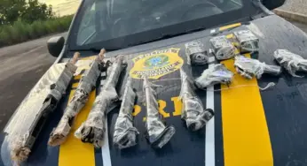 Mulher é presa com três fuzis de alto calibre escondidos em mochilas em rodovia