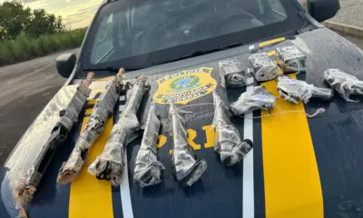 Mulher é presa com três fuzis de alto calibre escondidos em mochilas em rodovia