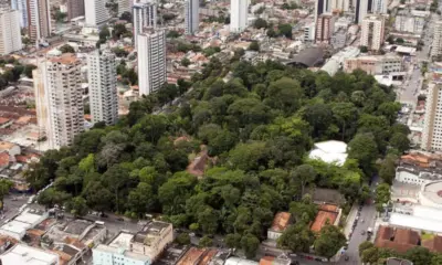 Mutum-cavalo morre com suspeita de gripe aviária e Museu Goeldi suspende visitação ao Parque Zoobotânico