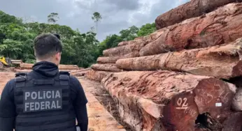 PF investiga desmatamento de 230 mil m² em área protegida no Amapá
