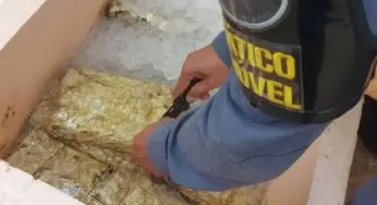 Polícia encontra caixa com 28 kg de drogas na frente de loja no AM