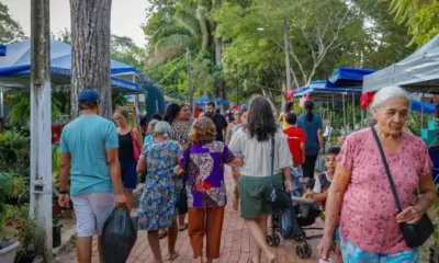 Ecoflores começa no Horto Florestal com programação internacional e público esperado de 20 mil pessoas