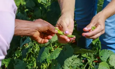 Governo Lula realiza maior entrega da reforma agrária da história do Tocantins
