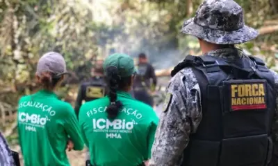ICMBio nega “megaoperação” e alerta para campanha de desinformação
