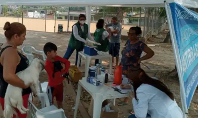 Vacinação antirrábica é ofertada no Defesa Civil e Novo Horizonte neste sábado