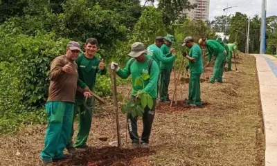 Mais de 100 mudas são plantadas na Cidade da Justiça, em Rio Branco