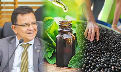 Aprovados PLs de Gonzaga que cria Programa Farmácias Vivas e torna Feijó capital do açaí