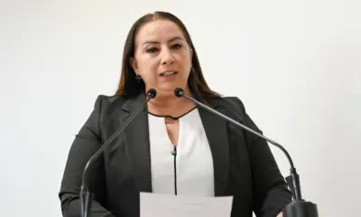 Elzinha propõe Programa de Arborização Urbana com desconto no IPTU