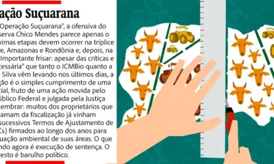Suçuarana