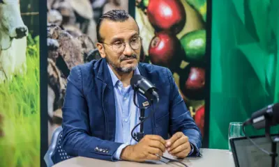 Para Embrapa, é possível mais agricultura e mais boi sem desmate