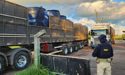 Motorista é flagrado com CNH falsa em fiscalização na BR-364