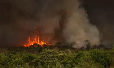 Queimadas fazem desmatamento crescer 92% na Amazônia em maio
