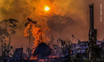 Número de focos de queimada no Acre cai em 2025, mas avança sobre áreas já desmatadas
