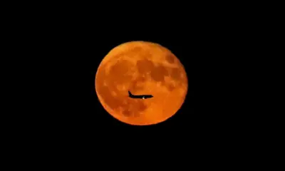 “Lua do Veado” proporcionará um espetáculo nesta quinta-feira