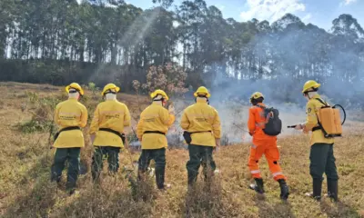 Bombeiros de Rondônia abrem 262 vagas para brigadistas com salário de R$ 2.277