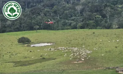 Operação na Resex Chico Mendes repercute em jornais do mundo
