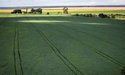 Críticas ao contingenciamento do Seguro Rural expõem contradição do “agro”