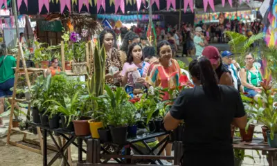 Prefeitura de Cruzeiro do Sul concluiu segunda noite do Arraial Cultural 2025