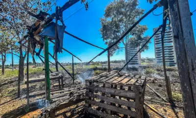 Fogo em terreno na estrada do Calafate queima barraca de frutas; Corpo de Bombeiros salva parada de ônibus