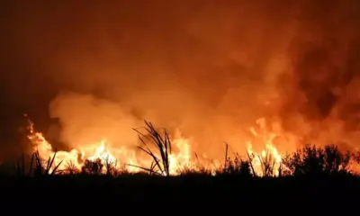 Incêndio em Área de Proteção Ambiental em Rio Brando poluiu o ar e queimou 20 hectares