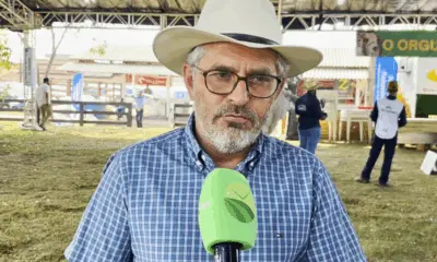 Leilões da Expoacre 2025 devem movimentar R$ 10 milhões
