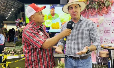 Ipê “abre guerra” contra aluguel e facilita sonho da casa própria