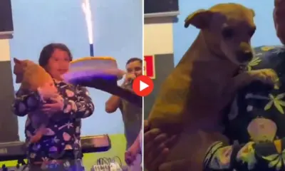 Festa do cachorro Bile reúne 10 cantores e três DJs em Cruzeiro do Sul