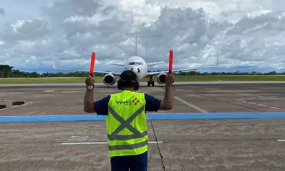Aeroporto de Rio Branco registrou dois incidentes por colisões de aviões com aves em junho