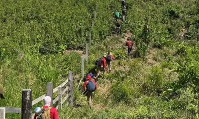 Bombeiros resgatam homem desaparecido em área de mata no Rio Gregório