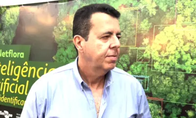 IA desenvolvida pela Embrapa revoluciona mapeamento de florestas na Amazônia