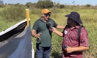 Amigos improvisam banheiro para curtir a Cavalgada