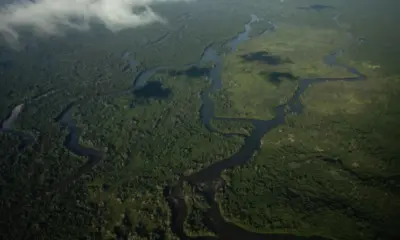 Helicóptero com cinco pessoas cai em território Yanomami; dois pacientes estão gravemente feridos
