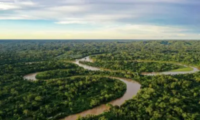 Prêmios reconhecem empreendedorismo sustentável na Amazônia Legal; inscrições até 31 de agosto