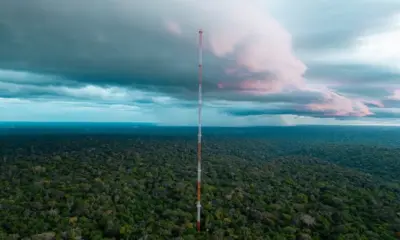 Poeira do Saara percorre mais de 5 mil km e chega à Amazônia, ajudando a repor minerais perdidos em queimadas