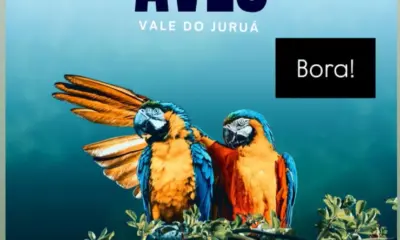 1º Encontro de Observação de Aves reúne amantes da natureza no Vale do Juruá