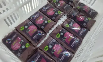 Extrativistas do Amapá suspendem exportação de açaí para os EUA após aumento de tarifas por Trump