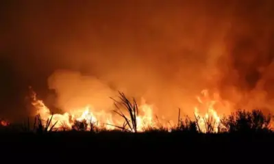 Incêndio em Área de Proteção Ambiental em Rio Brando poluiu o ar e queimou 20 hectares