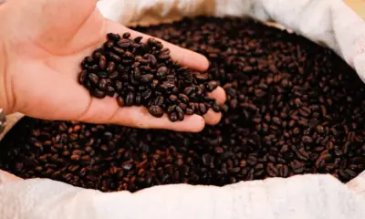 Expoacre Juruá comercializa 18 mil sacas de café em rodada de negócios