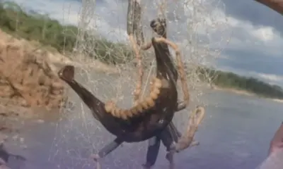 Pescador diz ter “fisgado” mandíbula humana no Rio Juruá